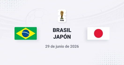 Brasil vs Japón